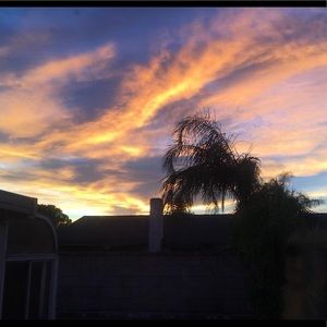 Meet your Posher, Daniela